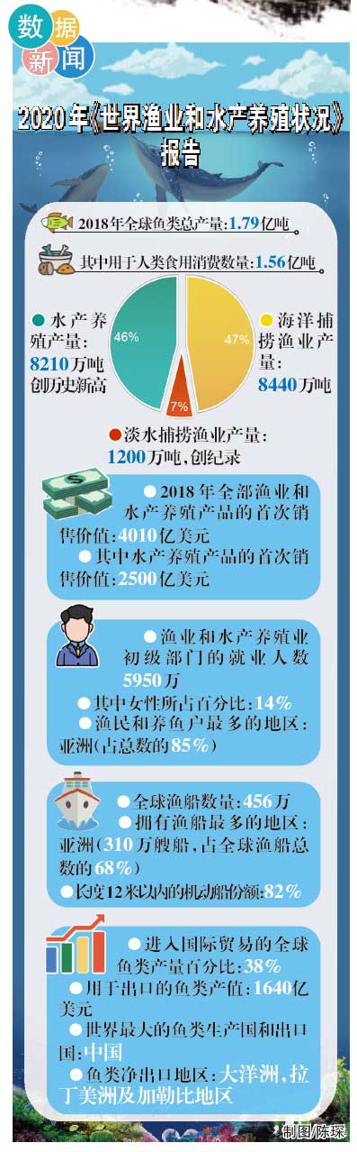 1610501124801134.jpg 1.jpg